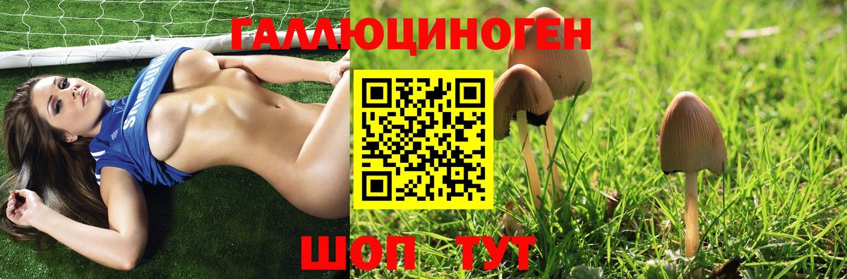 Галлюциногенные грибы Magic Shrooms Владикавказ