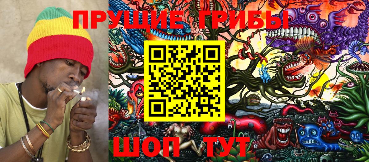 Псилоцибиновые грибы GOLDEN TEACHER  Вход с VPN  Псилоцибиновые грибы GOLDEN TEACHER  Владикавказ 